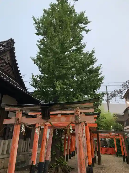 島頭天満宮(大阪府)