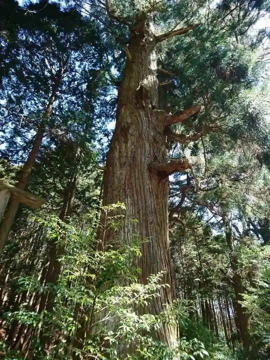 福王神社の自然