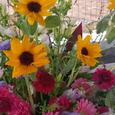 彌彦神社　(伊夜日子神社)の手水舎