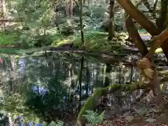 平泉寺白山神社の建物その他