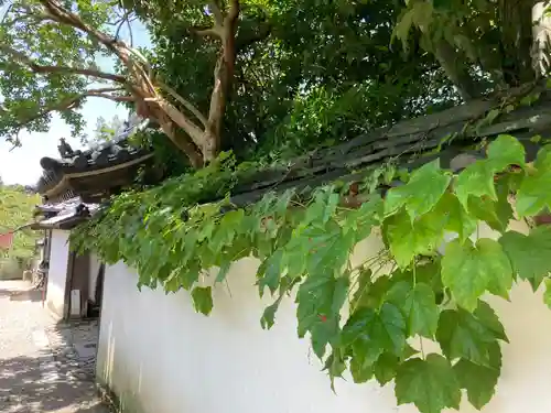 長岳寺のその他建物