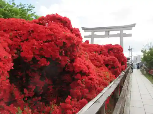長岡天満宮の自然