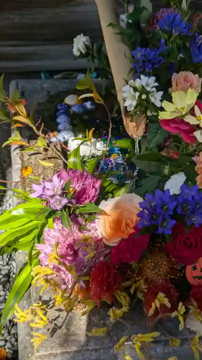 勝林寺(京都府)