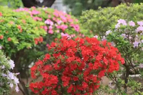 開成山大神宮の庭園