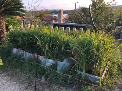 賀茂神社の周辺