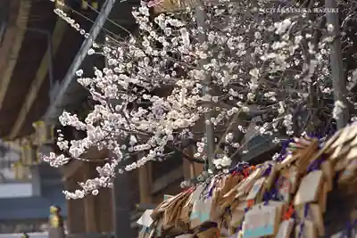 亀戸天神社のその他建物