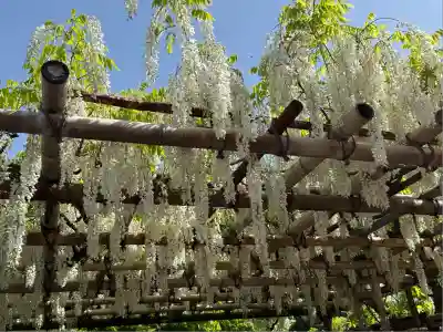 観音山慈眼院(高崎観音)(群馬県)
