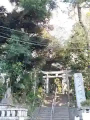 代々木八幡宮の建物その他