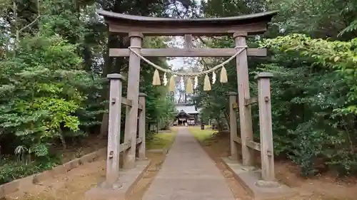 成田熊野神社の鳥居