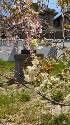 橋寺 放生院(京都府)