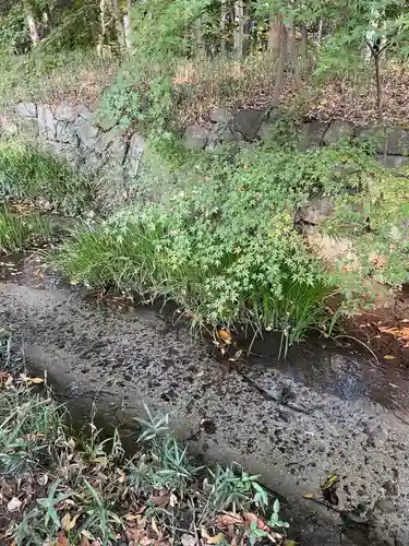 賀茂御祖神社（下鴨神社）の自然