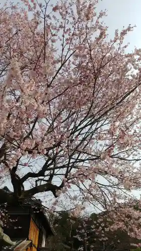 大豊神社の自然