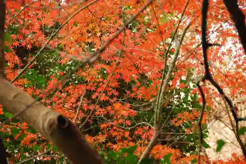 大鳥羽神社(山口県)