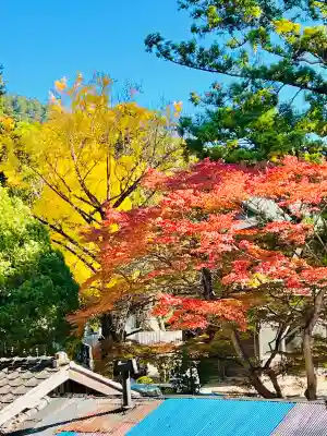 筑波山大御堂の{uncategorized: "未分類", other: "その他", undefined: "問題あり", building: "その他建物", grave: "お墓", sacred_gate: "鳥居", guardian: "狛犬", statue: "像", buddha: "仏像", history: "歴史", nature: "自然", garden: "庭園", animal: "動物", pagoda: "塔", temizu: "手水舎", mountain_gate: "山門・神門", sanctuary: "本殿・本堂", subordinate: "末社・摂社", art: "芸術", scenery: "景色", jizo: "地蔵", ema: "絵馬", goshuin: "御朱印", omikuji: "おみくじ", items: "授与品その他", amulet: "お守り", goshuincho: "御朱印帳", eats: "食事", festival: "お祭り", votive_dance: "神楽", shichigosan: "七五三参", wedding: "結婚式", experience: "体験その他", initially: "初詣", around: "周辺", anti_infection: "感染症対策"}
