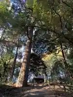 稲荷神社(千葉県)