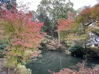くろ谷 金戒光明寺(京都府)