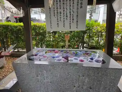 桜神宮(東京都)