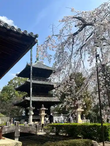 道成寺(和歌山県)