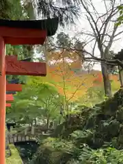 有子山稲荷神社の自然