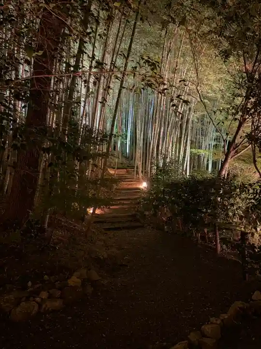 高台寺(高台寿聖禅寺・高臺寺)(京都府)