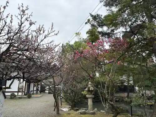 長浜八幡宮の自然