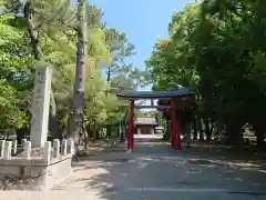 白山比売神社の鳥居