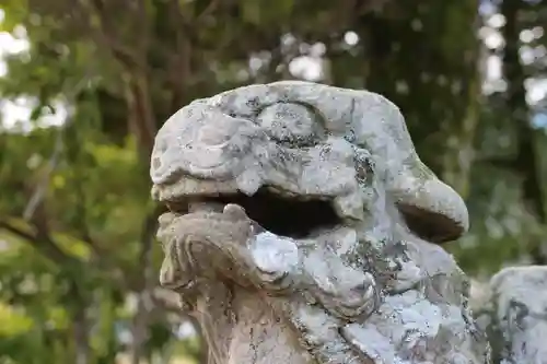 宇賀神社の狛犬