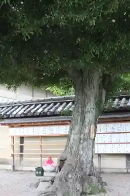 東寺(教王護国寺)の地蔵