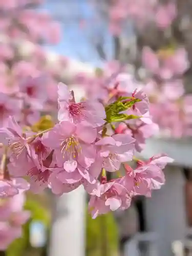 鳩森八幡神社(東京都)
