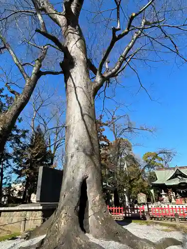 上野総社神社(群馬県)