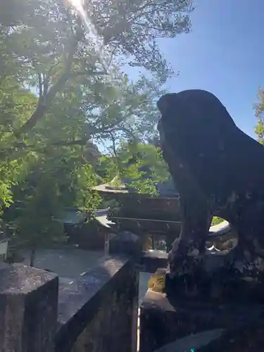伊奈波神社の狛犬