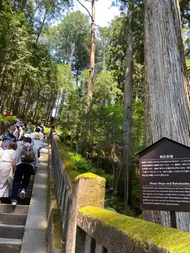 日光東照宮(栃木県)