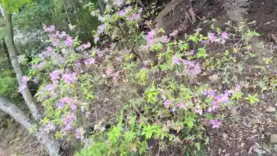吉田神社(京都府)