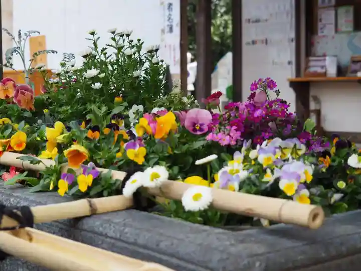 上目黒氷川神社の手水舎