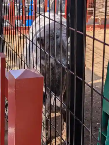 神田神社（神田明神）(東京都)