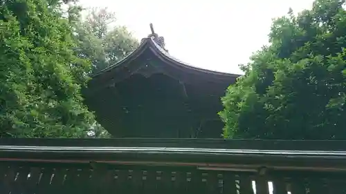 須賀神社の本殿・本堂