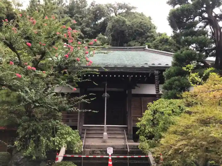 遍照寺の本殿・本堂