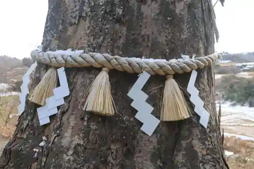 阿久津「田村神社」（郡山市阿久津町）旧社名：伊豆箱根三嶋三社の自然