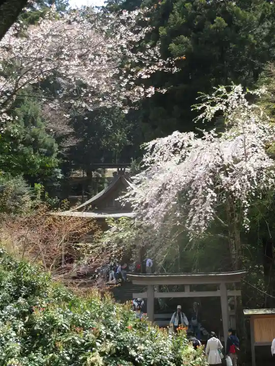 金峯神社(吉野町)の自然