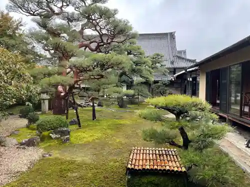 妙顯寺（妙顕寺）(京都府)