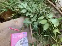 蓮久寺(千葉県)