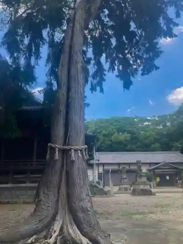 小池神社(愛知県)