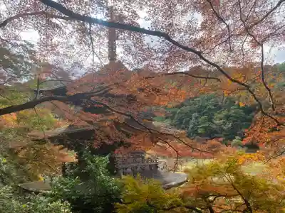 金剛院(京都府)