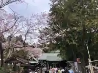 青葉神社の{uncategorized: "未分類", other: "その他", undefined: "問題あり", building: "その他建物", grave: "お墓", sacred_gate: "鳥居", guardian: "狛犬", statue: "像", buddha: "仏像", history: "歴史", nature: "自然", garden: "庭園", animal: "動物", pagoda: "塔", temizu: "手水舎", mountain_gate: "山門・神門", sanctuary: "本殿・本堂", subordinate: "末社・摂社", art: "芸術", scenery: "景色", jizo: "地蔵", ema: "絵馬", goshuin: "御朱印", omikuji: "おみくじ", items: "授与品その他", amulet: "お守り", goshuincho: "御朱印帳", eats: "食事", festival: "お祭り", votive_dance: "神楽", shichigosan: "七五三参", wedding: "結婚式", experience: "体験その他", initially: "初詣", around: "周辺", anti_infection: "感染症対策"}