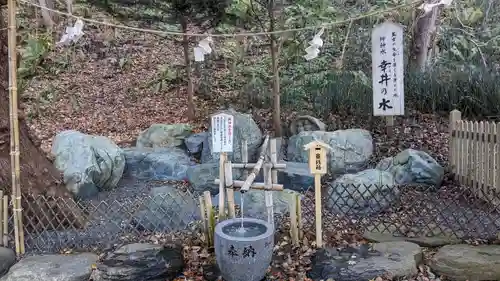 千歳神社の自然
