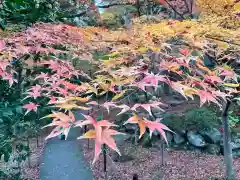 金剛輪寺(滋賀県)