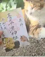 吾平津神社の御朱印