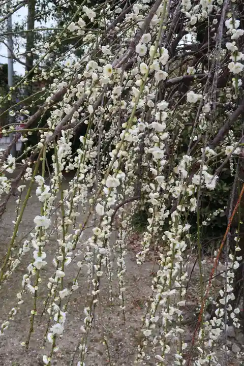 大御堂寺(野間大坊)(愛知県)