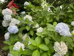 平出雷電神社(栃木県)