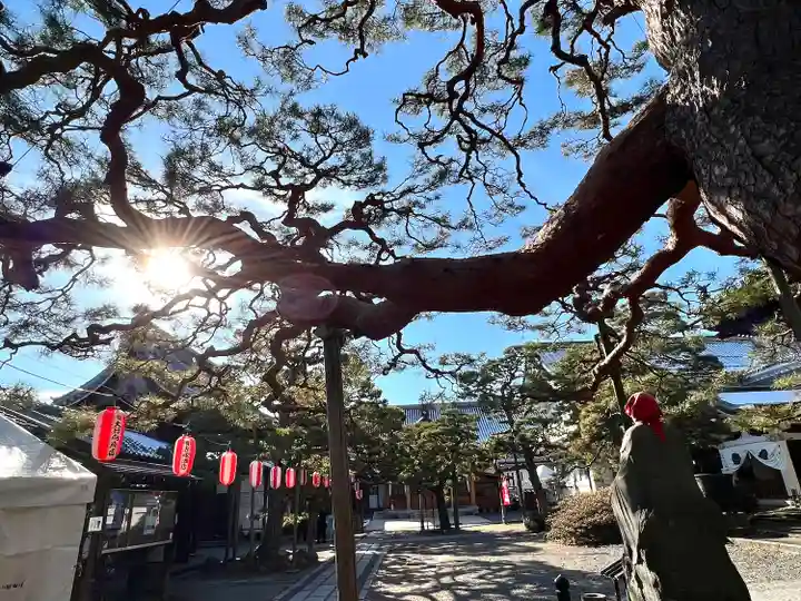 善光寺大勧進(長野県)